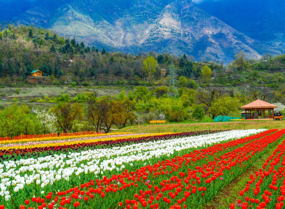 Top 10 Places to Visit in Srinagar for an Unforgettable Trip